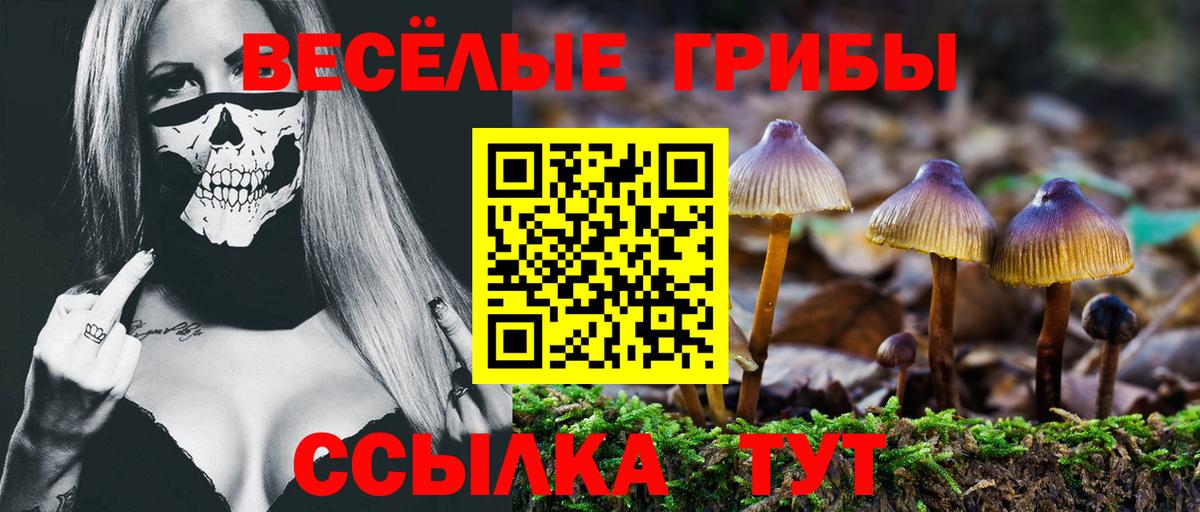 Псилоцибиновые грибы мухоморы  Псилоцибиновые грибы Psilocybine cubensis  закладки  Вход с VPN  Краснознаменск 