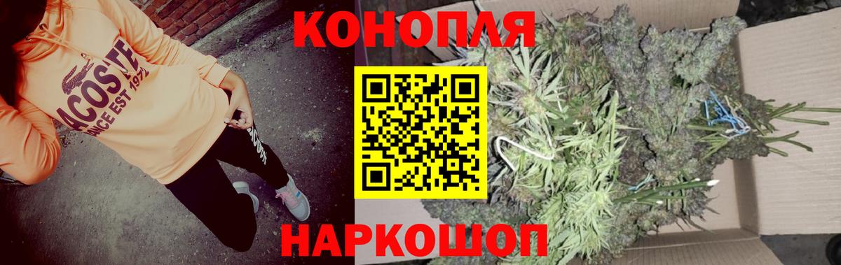 Марихуана OG Kush Краснознаменск